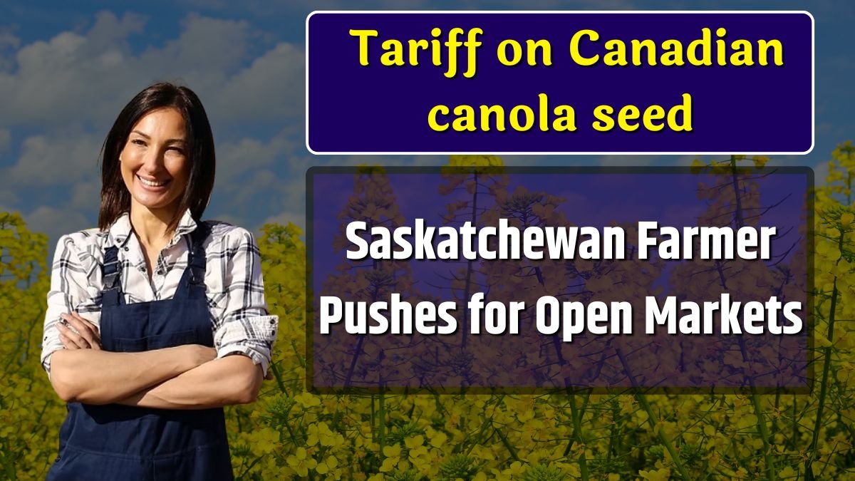 Tariff on Canadian canola seed